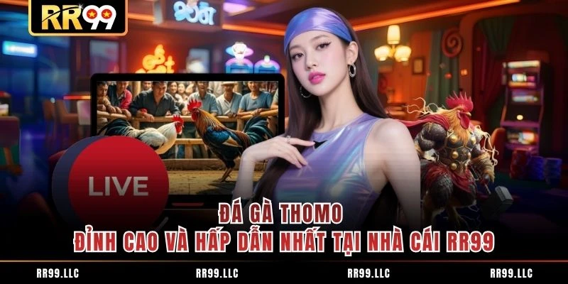 Đá Gà Thomo Đỉnh Cao Và Hấp Dẫn Nhất Tại Nhà Cái RR99