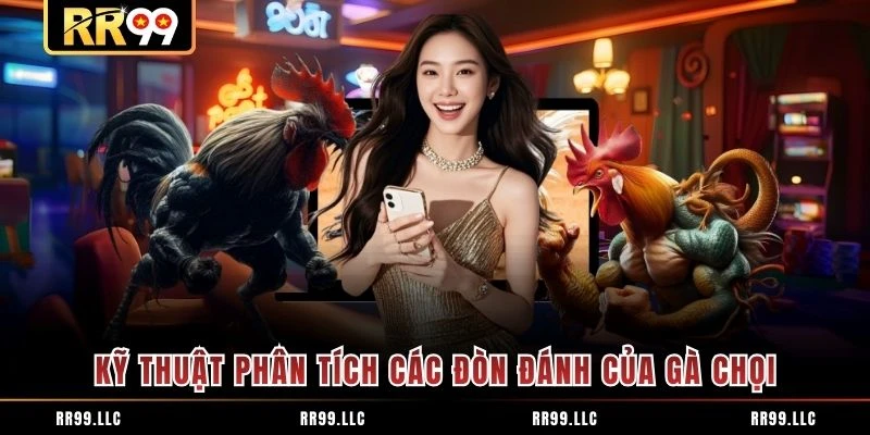 Kỹ thuật phân tích các đòn đánh của gà chọi