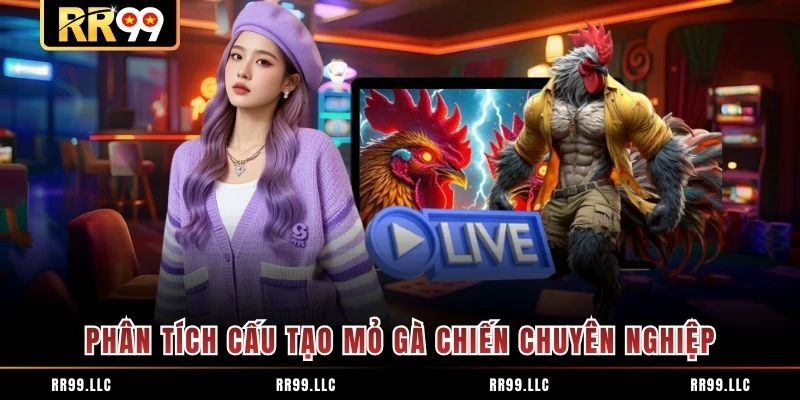 Phân tích cấu tạo mỏ gà chiến chuyên nghiệp