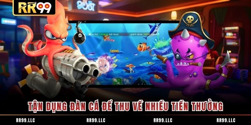 Tận dụng đàn cá để thu về nhiều tiền thưởng